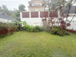 Jalan Pakis (D23), Semi-Detached #554130011